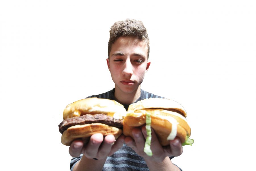 Burger Comparison Final