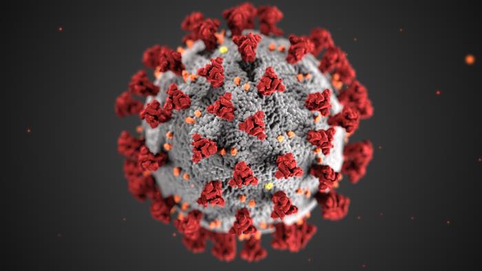 Illustrated by the Centers for Disease Control (CDC) is an image of the structure of the coronavirus pathogen. First detected in Wuhan, China as a respiratory illness, COVID-19 has spread to become a pandemic affecting school communities like UPrep.