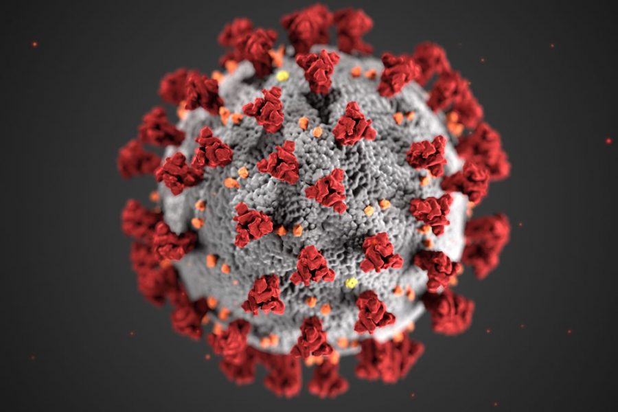 The Centers for Disease Control released this coronavirus illustration.
