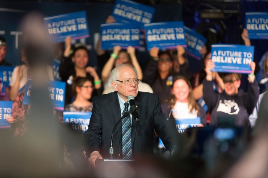 Bernie Sanders holds a rally in Traverse City, Michigan during the 2016 general election.
