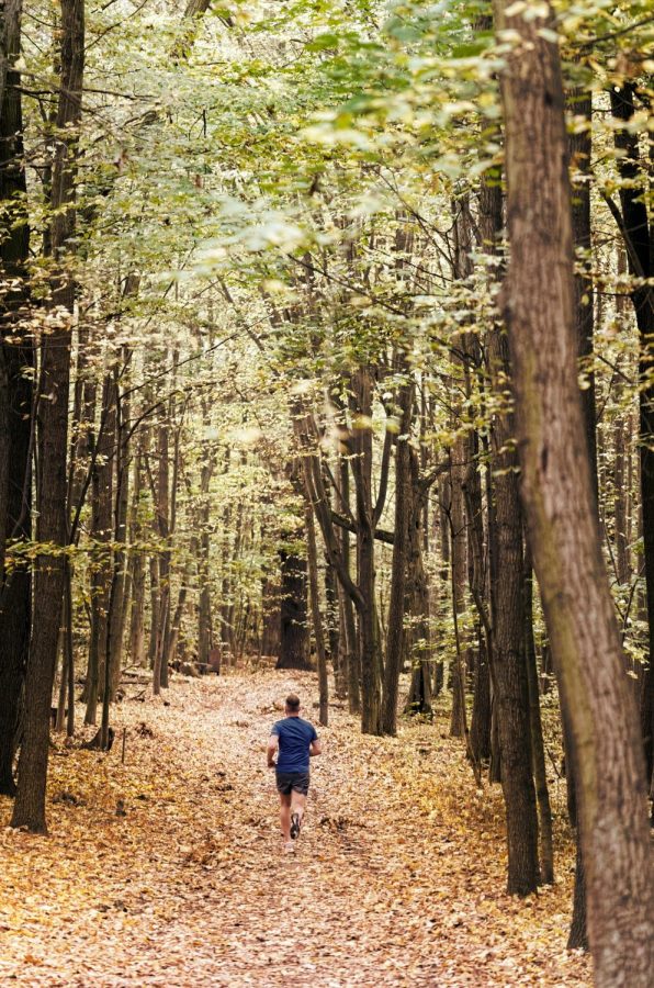 Photo of man running down a leaf-covered path. (Immortal Shots/Pexels)