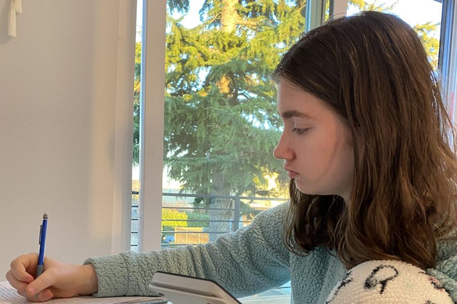 Freshman Haydn Gleason does homework at her desk at home.