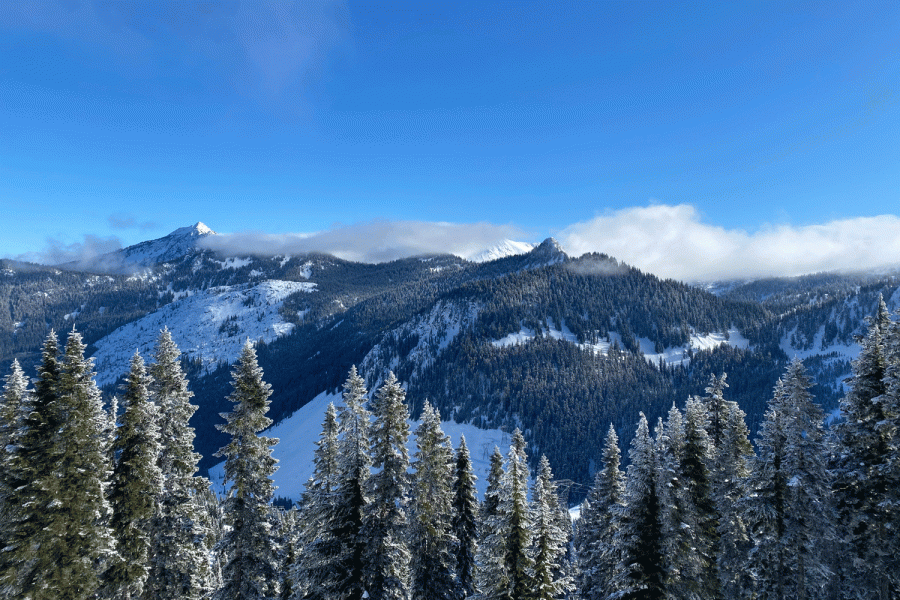 This is a picture of Stevens pass