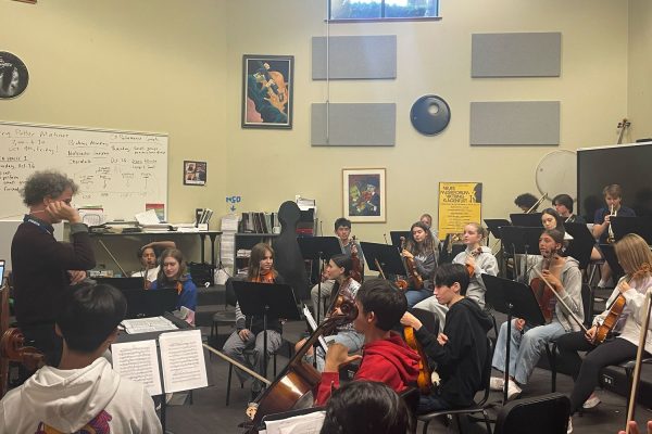 Young Orchestra Strikes a Chord