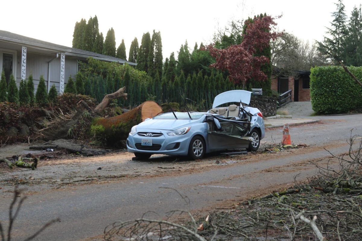 A car lies damaged on the road after a tree fell on it.  While driving to book club, Britten Nelson, associate director of college counseling, witnessed the event at the intersection of 35th Ave NE and NE 100th St. “I was just worried it was someone I knew,” Nelson said. 