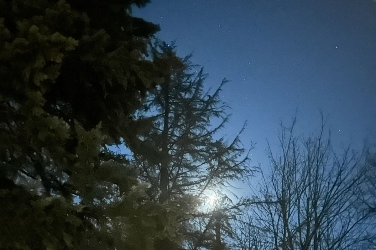 Outside of my backyard at 5:33pm, the moon and stars already made an appearance. In summer, the sun wouldn't set until around 9pm.