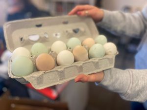 History teacher Priscilla Lindberg presents a dozen eggs laid by her chickens. "If you ever raise chickens, you'll know that you really want to support birds who live outside and have a happier life, because you feel connected to them," Lindberg said.