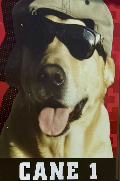 Raising Cane’s