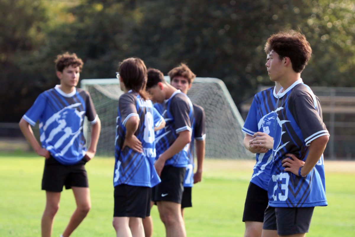 Varsity ultimate sets up on the line before a pull during their game against SAAS on Sept. 12. The team has 19 members this year, not enough to split into two teams.