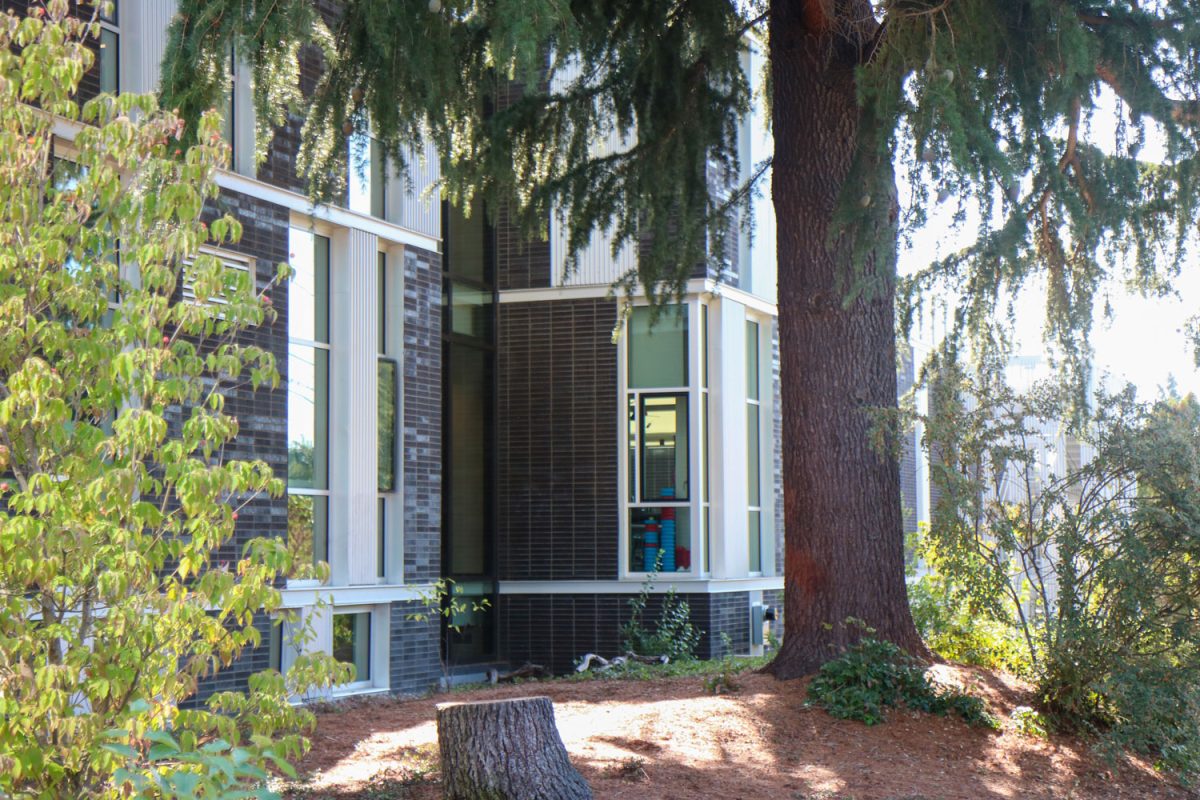 The vandalism took place on the west side of the ULab. The graffiti was removed by shaving off the spray paint from the tree.